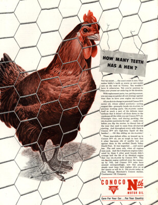 1962 Conoco: How Many Teeth Has a Hen Vintage Print Ad