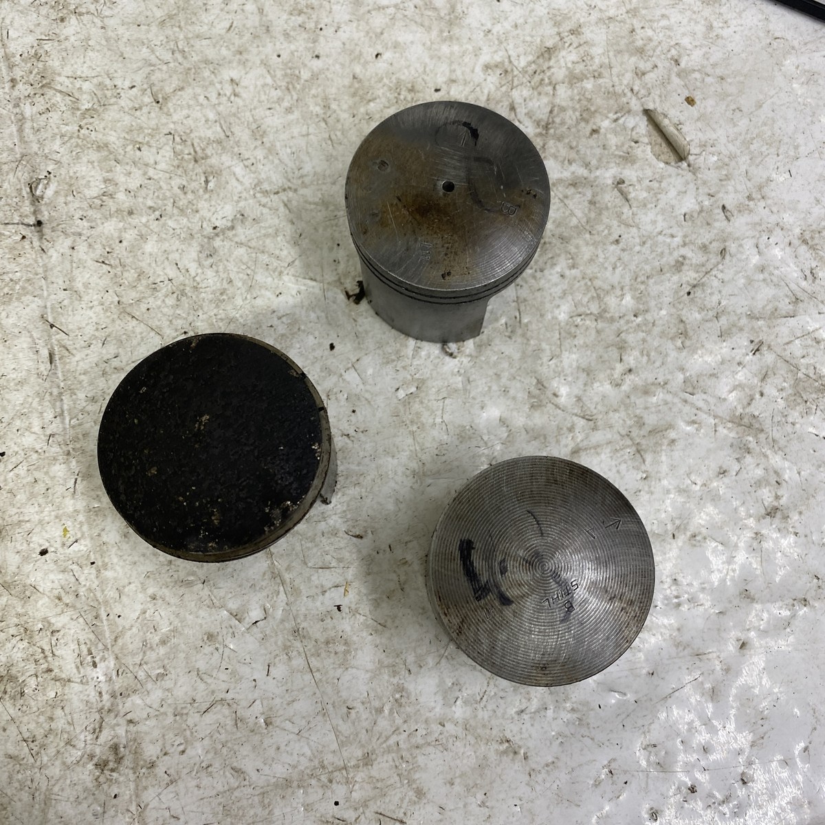 Kit Pistone Anello Set 1119 030 2001 Per Motosega STIHL 038 Super