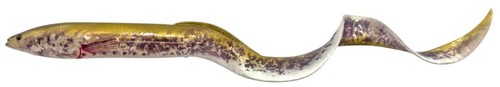 Savage Gear New 3D Real Eel 15 20 30 40 cm Regular, PHP & 2025 Farben Loose Body - Bild 18 von 25