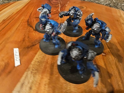 Warhammer 40k 40.000 Marines Espaciales Terminators Parcialmente Metal Pintado X5 SK232 - Imagen 4 de 23