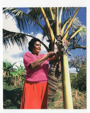 CHILE Easter Island Isla de Pascua official Correos de Chile Postcard UNUSED L9