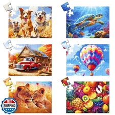 24 Large Piece Puzzle for Seniors 6 Pack Puzzles Dementia Alzheimer's Product
