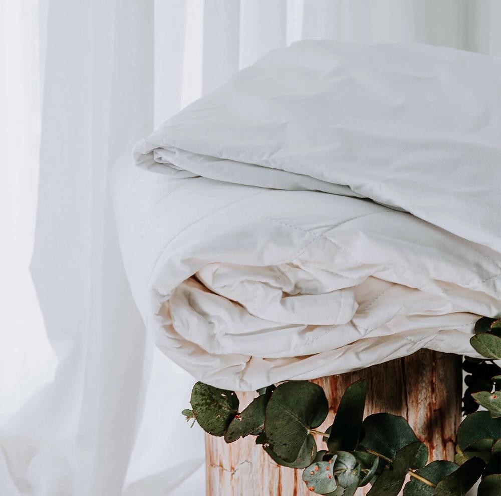 Bambi Health Assurance Single Cotton Mattress Protector Set  