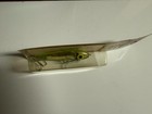 Vintage Doug English King Flash Bingo fishing lure in original package. — photo 4