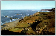 Vtg Postcard Azalea State Park Coast Brookings, OR 1950s