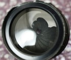 Bild 8 von 12