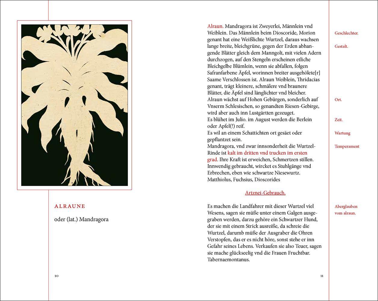 Thumbnail - Das Kräuterbuch Des Johann Christoph Ende - Renate Schipke -