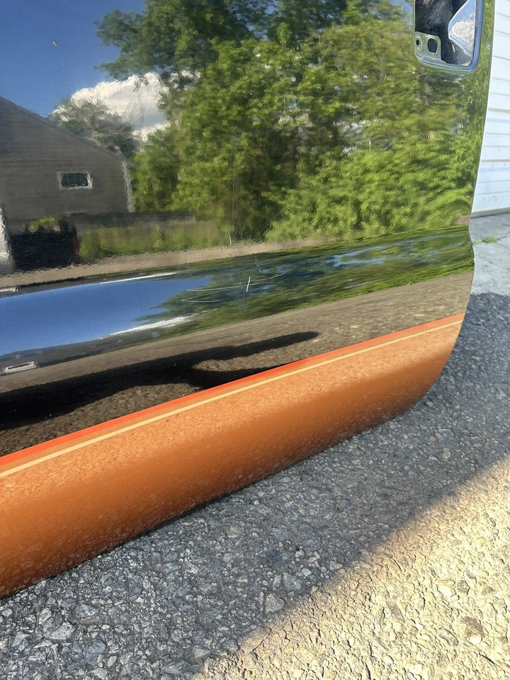 Ford F250 F350 Super Duty 2008-2016 Harley Davidson conductor delantero doble cabina puerta Foto 4 de 4