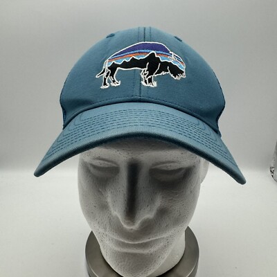 Patagonia Fitz Roy Bison Mesh Trucker Hat Cap Mid-crown Snapback Teal/Mint