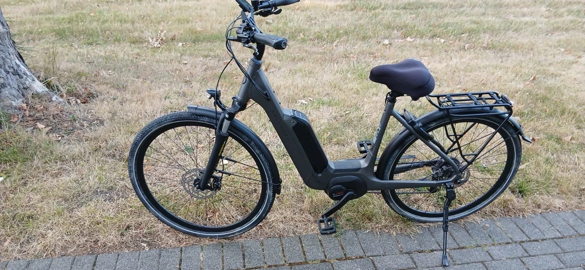 elektrofahrrad sportlich Trax Sport E-Bike Fits:Rover and zero compromises. Halterung TM 20*4.0Zoll LCD Fat Faltbar