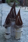 Bild 5 von 12