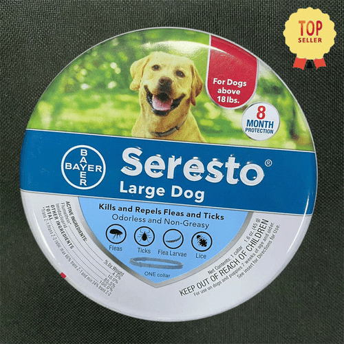 1 PC Fleas &amp;amp;amp; Ticks Prevention Collars For Large Dog  8 Months Treatment USA NEW
