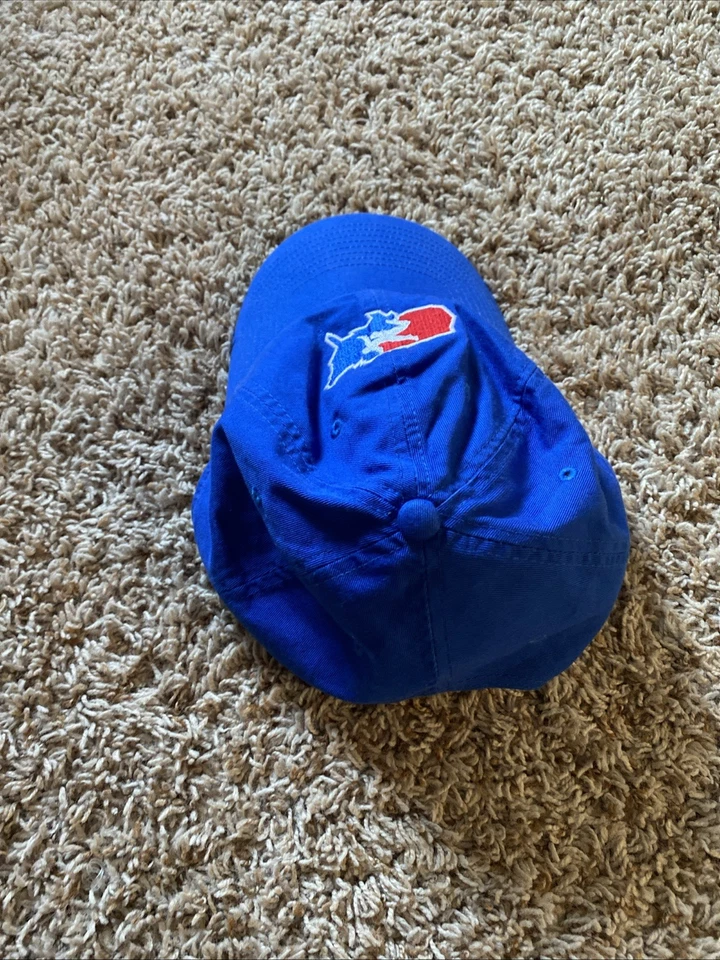 Gorra Nike de lucha libre de Estados Unidos talla 1 Foto 4 de 4