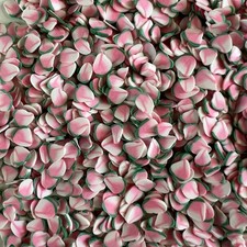 25 grams 5mm Sliced Peaches Fruit Fake Food Fimo Slices Slime Polymer Sprinkles
