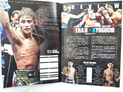 Boxing Program Teraji vs Kyoguchi WBC WBA Light Fly Unification Ticket Stub 2022 - Picture 5 of 12