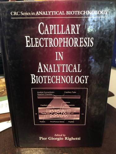 Capillary Electrophoresis in Analytical Biotechnology - Picture 2 of 3