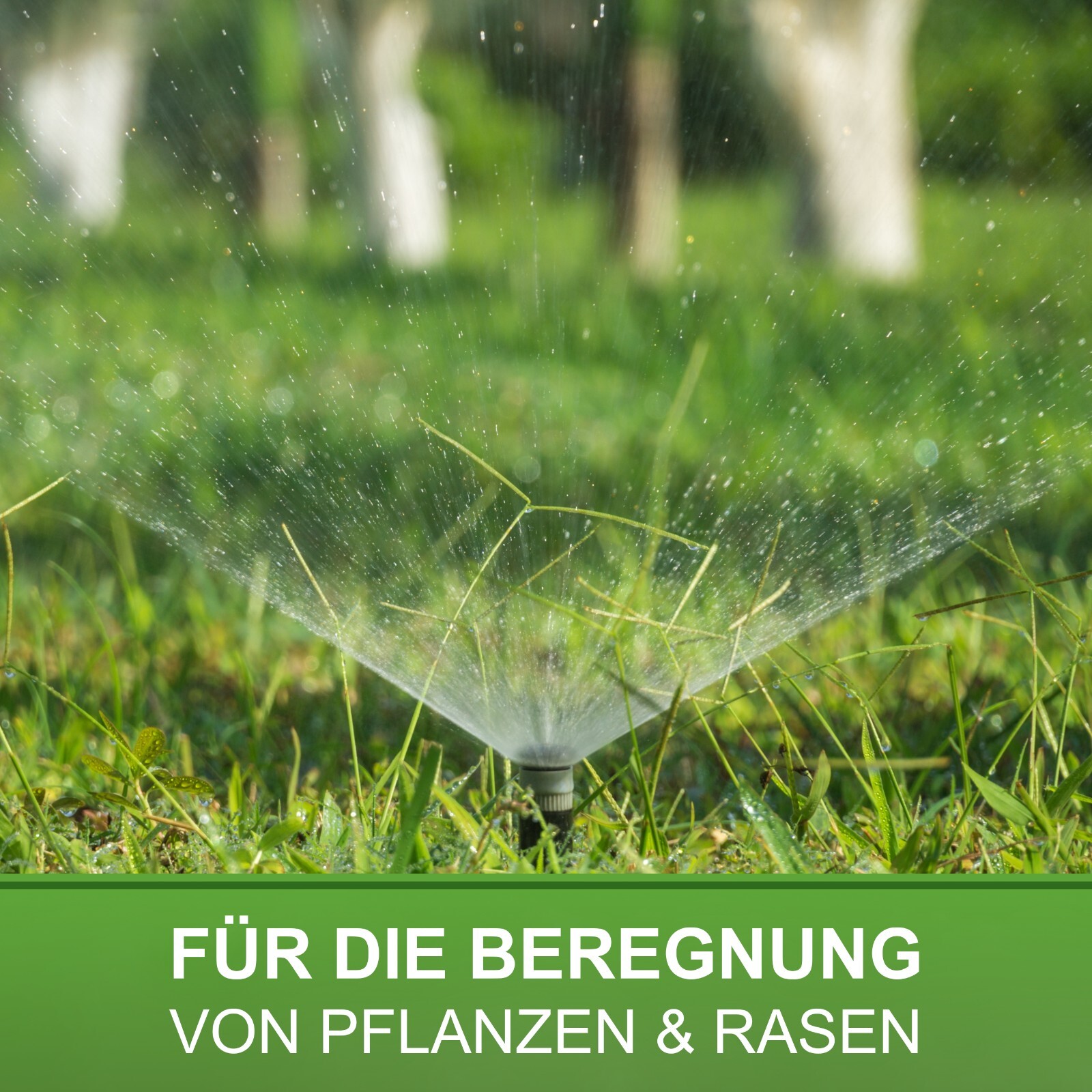 Bild 3 von 3