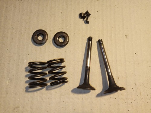 VW T4 - 1.9 Diesel 60 PS 2x Ventil Zylinderkopf Einlass + Auslass