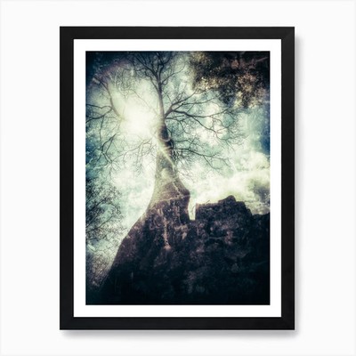 Ein Baum von Ta Prohm Kunstdruck gerahmt Wandbild Poster Leinwanddruck Bild