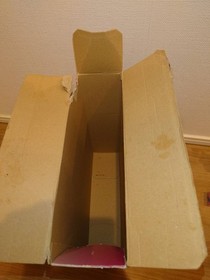 LEGO DUPLO Princess Cinderella Carriage Set 6153