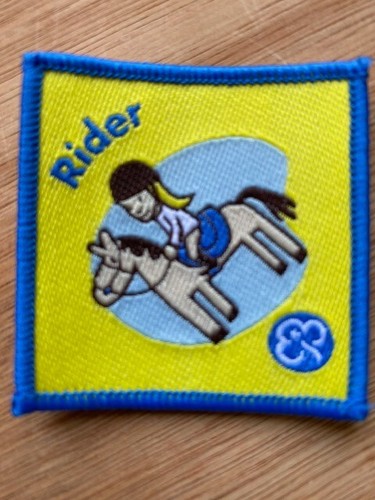 Obsolete (2003-2018) Brownie Guide Interest Badges - Cloth Badges - Picture 8 of 46