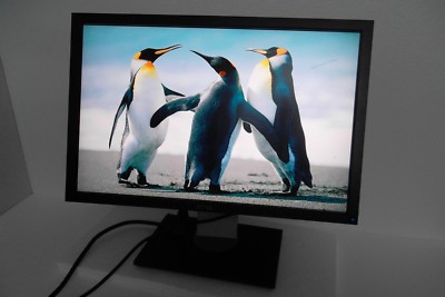 Dell U2410f 24