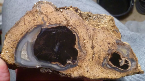 4 1/2 Zoll Blauwald versteinertes Holz Eozän Zeitalter Eden Valley Wyoming 540 Gramm - Bild 4 von 7