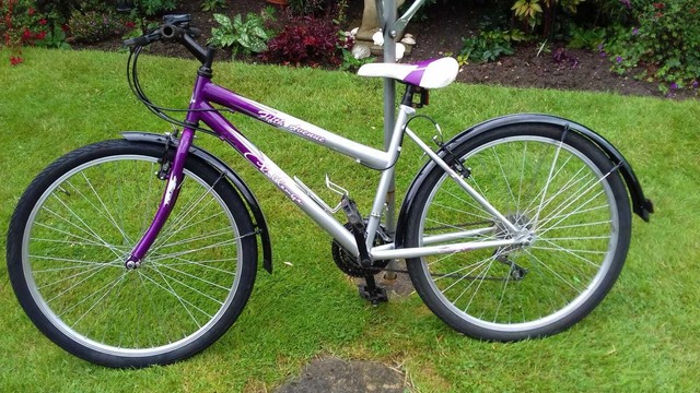 raleigh bikes for sale ebay