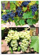 STAMPS - MOLDOVA - 2021 - MAXIMUM CARD - WINE - OENOLOGY - 11/24/2021 - CHISINAU