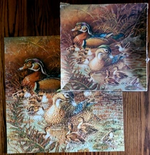 Vtg 1982 Springbok  Jigsaw Puzzle Wood Ducks Duckling Family Outing #2109 500 Pc