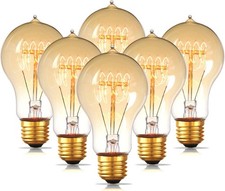 Warm Edison Light Bulbs, 60 Watt A19 Vintage 6 Count Pack of 1 Warm White