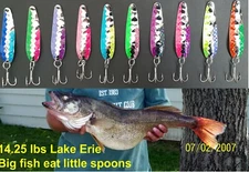 (10)  THIN 2 1/4" HEX Flutter Spoons  NICKEL .016  Walleye Candy STFT