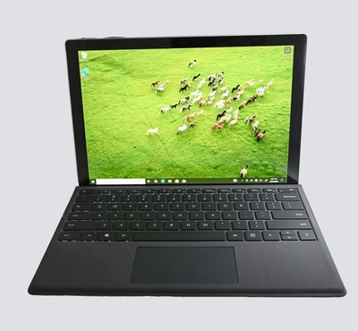 Microsoft Surface Pro  1796 i5-7300 2.6GHz 8GB RAM 256GB SSD Windows 10