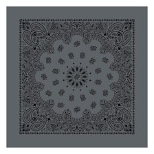 Austin Charcoal/Black Paisley Bandanna, 27"x27", Made in India, Hav-A-Hank, FUN
