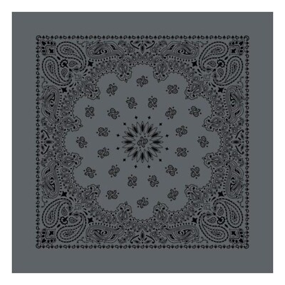 Austin Charcoal/Black Paisley Bandanna, 27''x27'', Made in India, Hav-A-Hank, FUN
