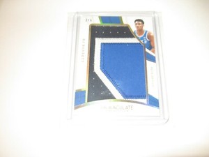 Long-term inventory RJ Barrett Panini Immaculate 