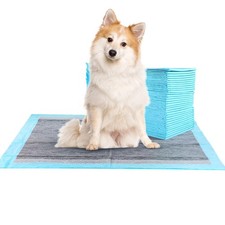 FluffyDream 100-Pk Super Absorbent Waterproof Dog & Puppy Training Pads 22x22"