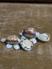 2 Vintage Googly Eyes Tiny Turtles Tortoise Sea Shell In Hat & Glasses Figurines