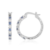 Cavill Blaue Ceylon Saphir Ohrringe 925 Sterling Silber Platin 1,117Ct Creolen