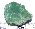 14.5 grams Polished End Cut Green CHROMIUM Petrified Wood from Winslow ARIZONA — photo 1