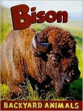 Bison by Tomljanovic, Tatiana