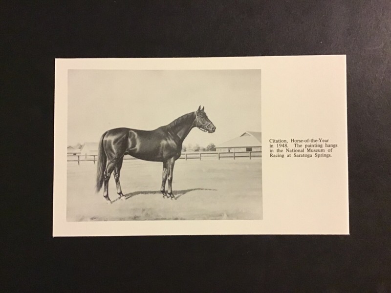 CITATION SKETCH Horse Racing 1948 TRIPLE CROWN 