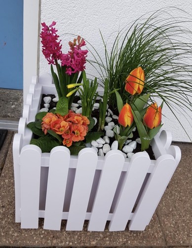 EMSA Landhaus Blumentopf Kbel 38x38 Cm WEISS Blumenkbel online kaufen |  eBay.de