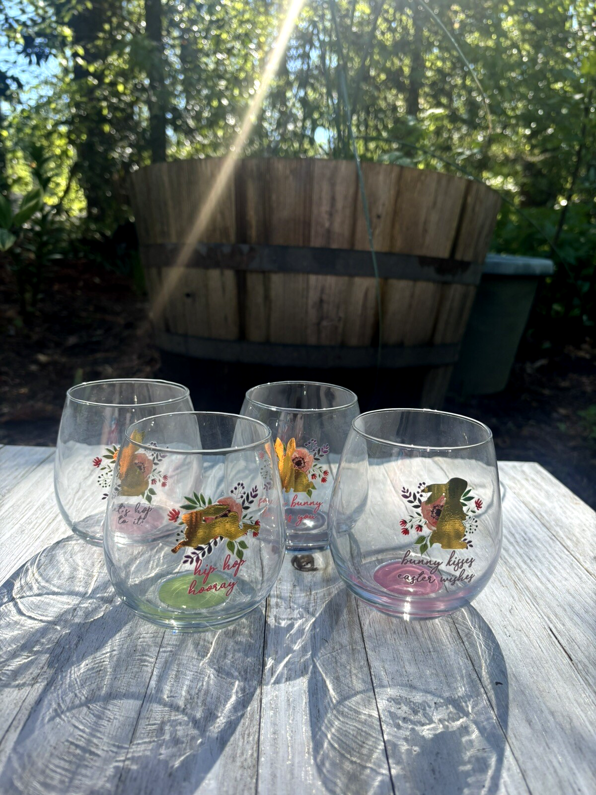 Picture 2 of 13