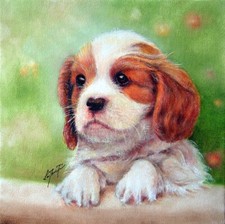 ✤ Photograpy PORTRAIT SERVICE Oil Painting 1 Pet 16x20 Commission Art Artwork
