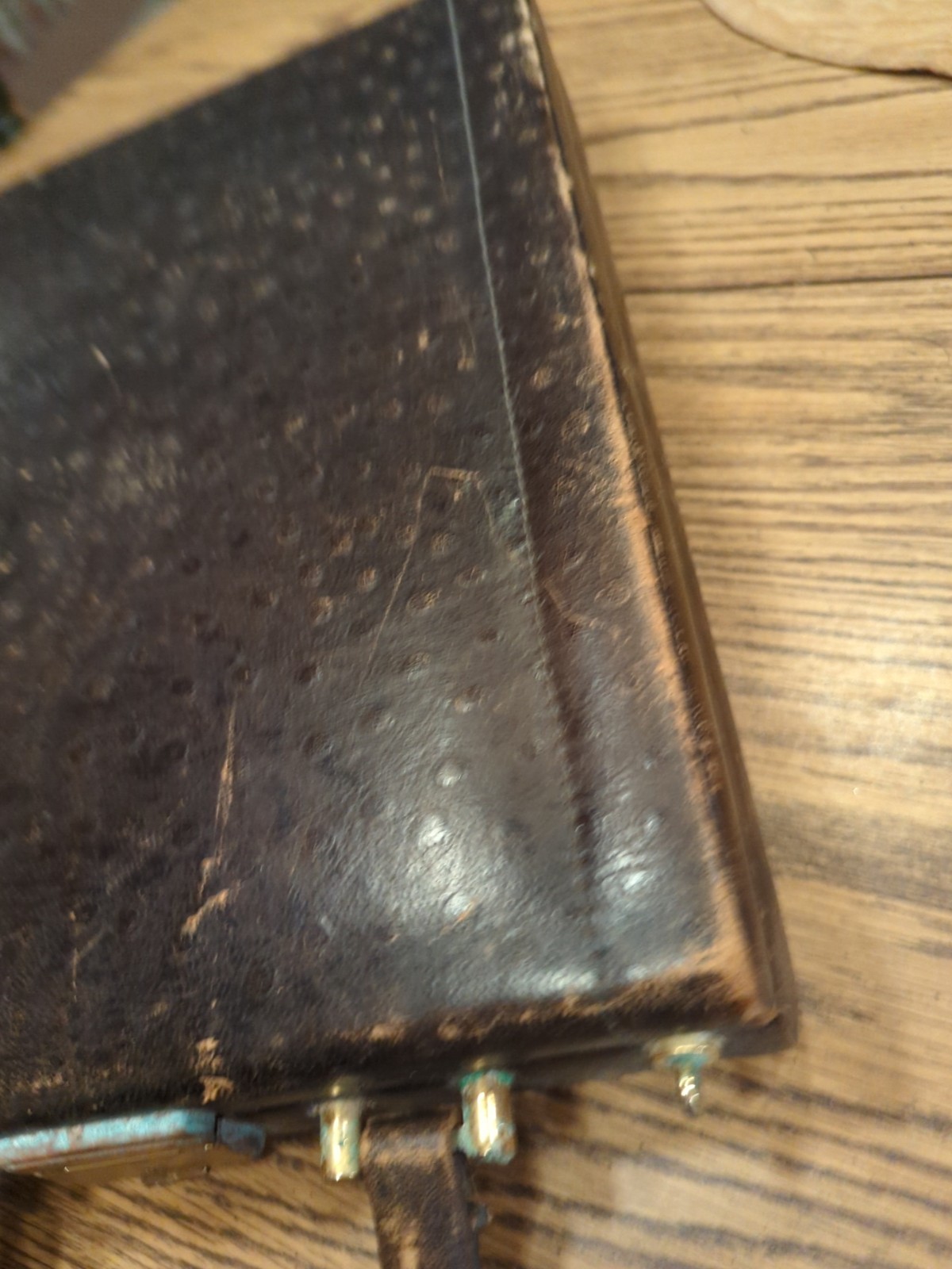 Vintage Unique Rectangular Briefcase Ostrich Embo… - image 3