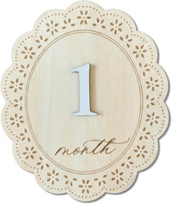 Baby Girl Monthly Milestone Signs, 1-12 Monthly Baby Milestone Girl, Newborn Pho