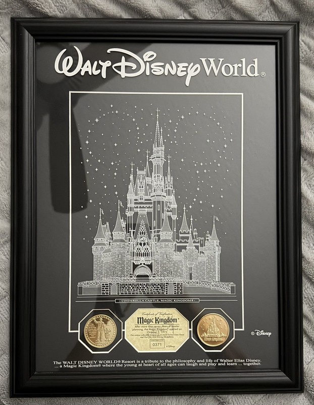 Disney Magic Kingdom Cinderella Castle Archival Etched Glass Panel 24kt Gold WDW