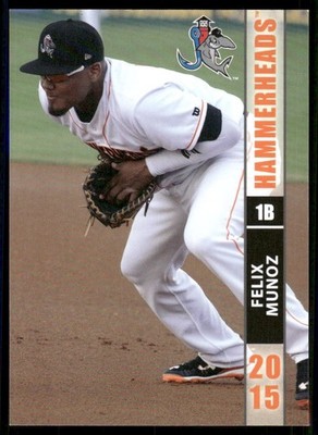 2015 Grandstand Jupiter Hammerheads FELIX MUNOZ MARLINS DOMINICAN REPUBLIC