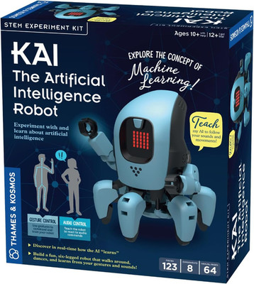 Kai: the Artificial Intelligence Robot | Explore Machine Learning | Build an Inn